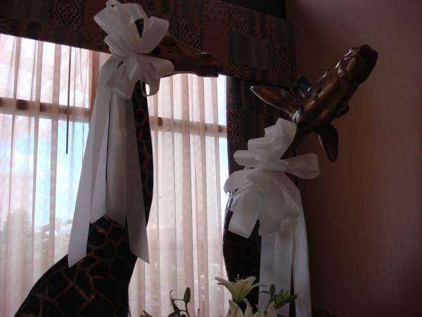 Holiday Inn Quincy By Ihg Kültér fotó